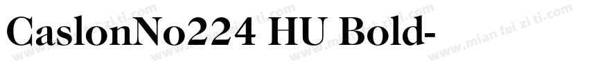 CaslonNo224 HU Bold字体转换